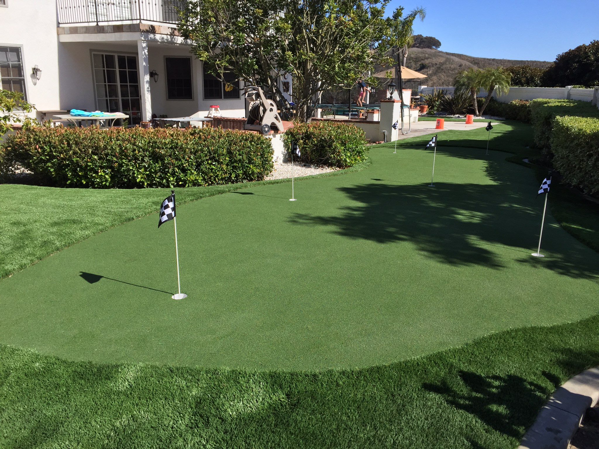 Save Pro Turf Image